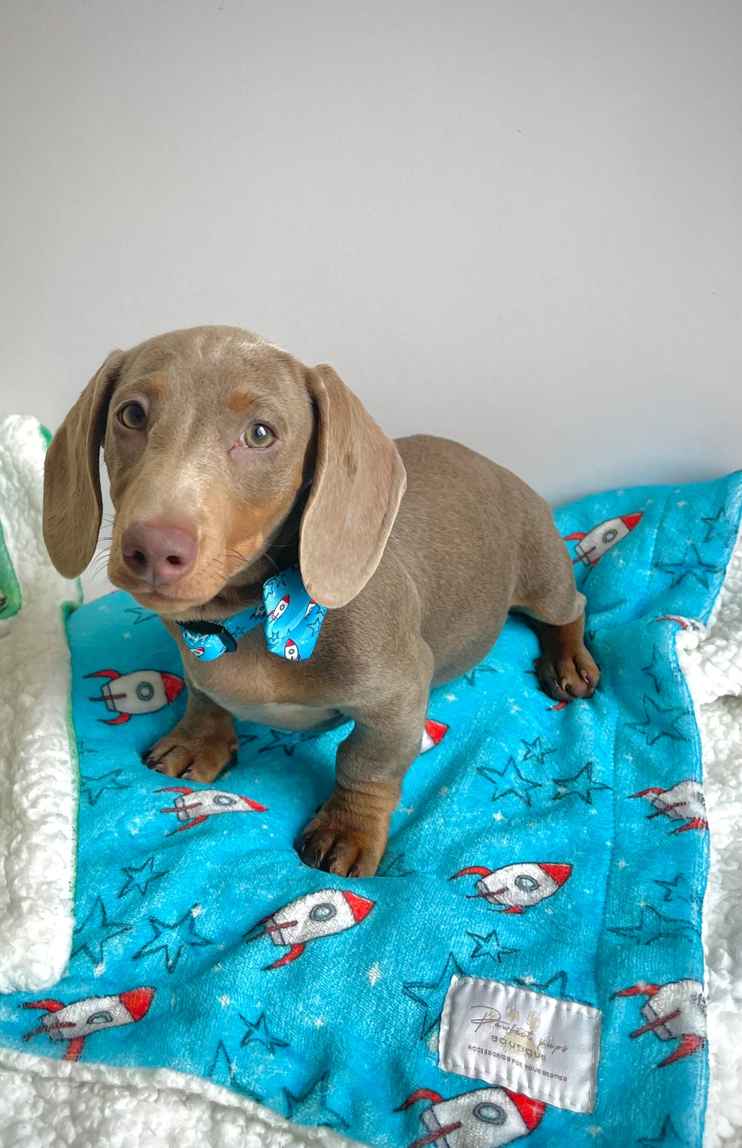 Rocket Racer Blanket