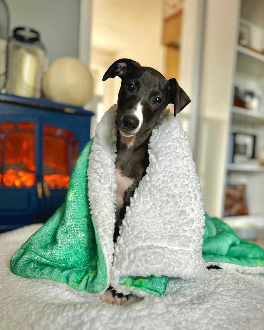 Leafy Luxe Blanket