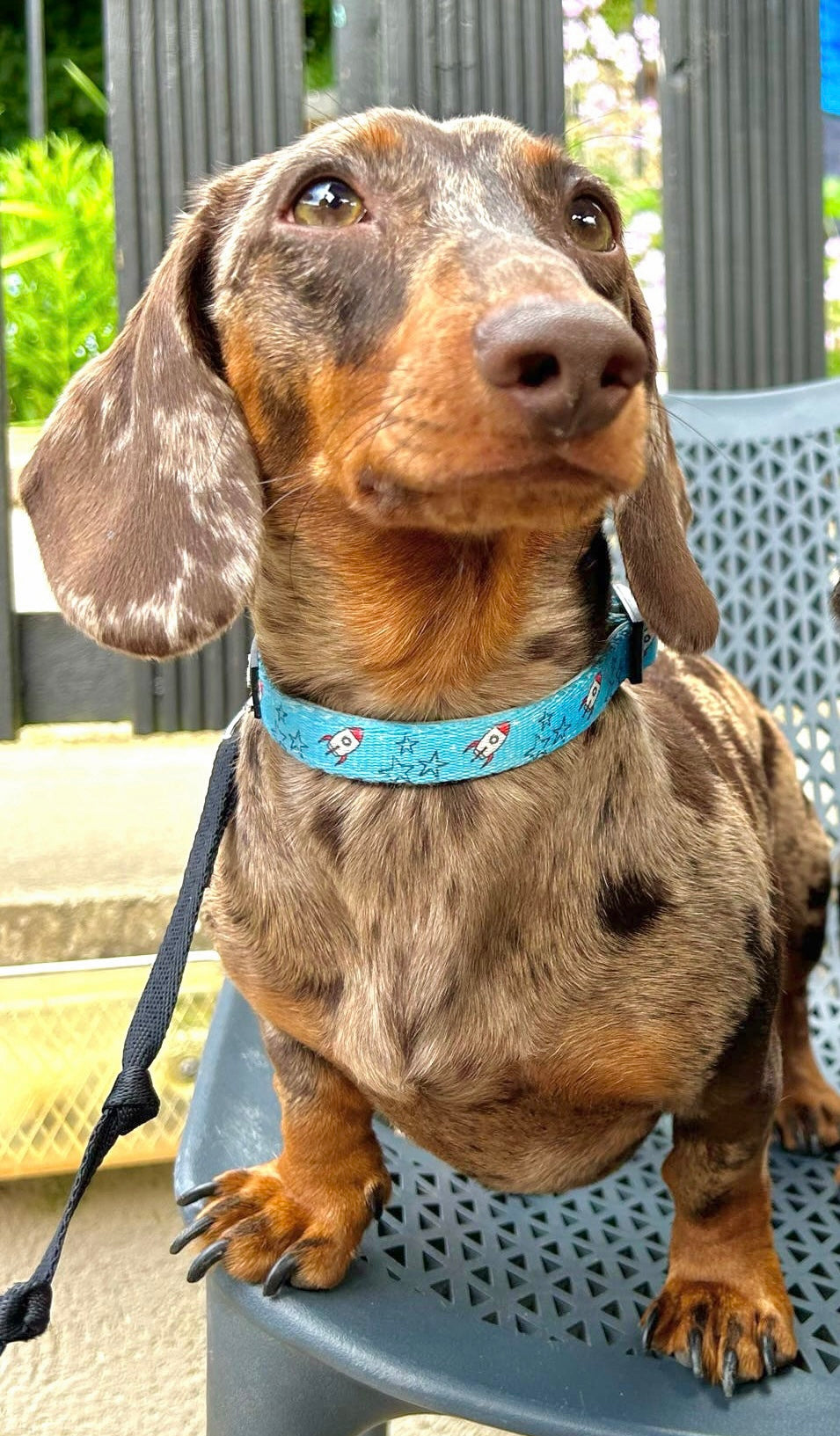 Rocket Racer Adjustable Collar