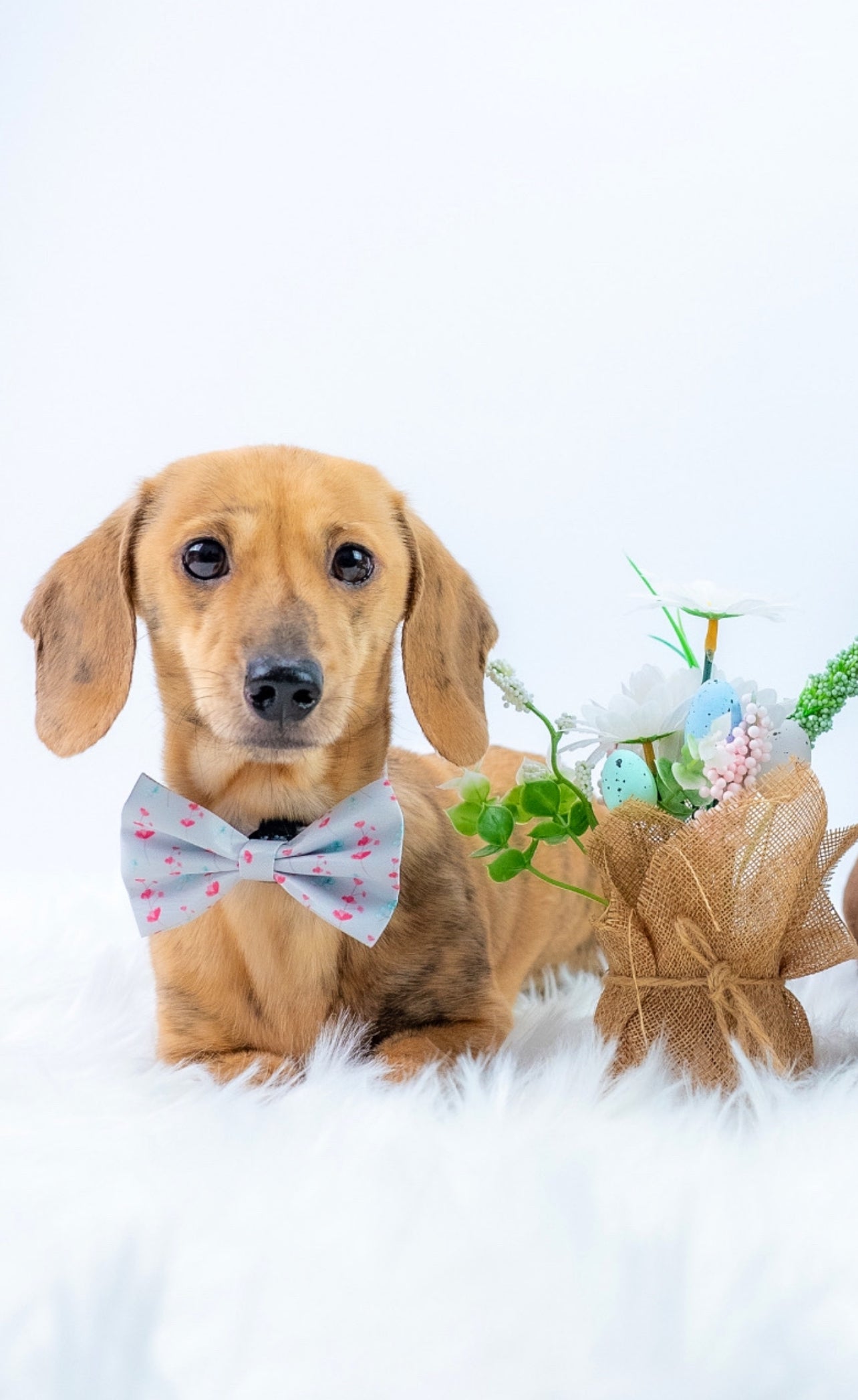 Blossom Bliss Bow