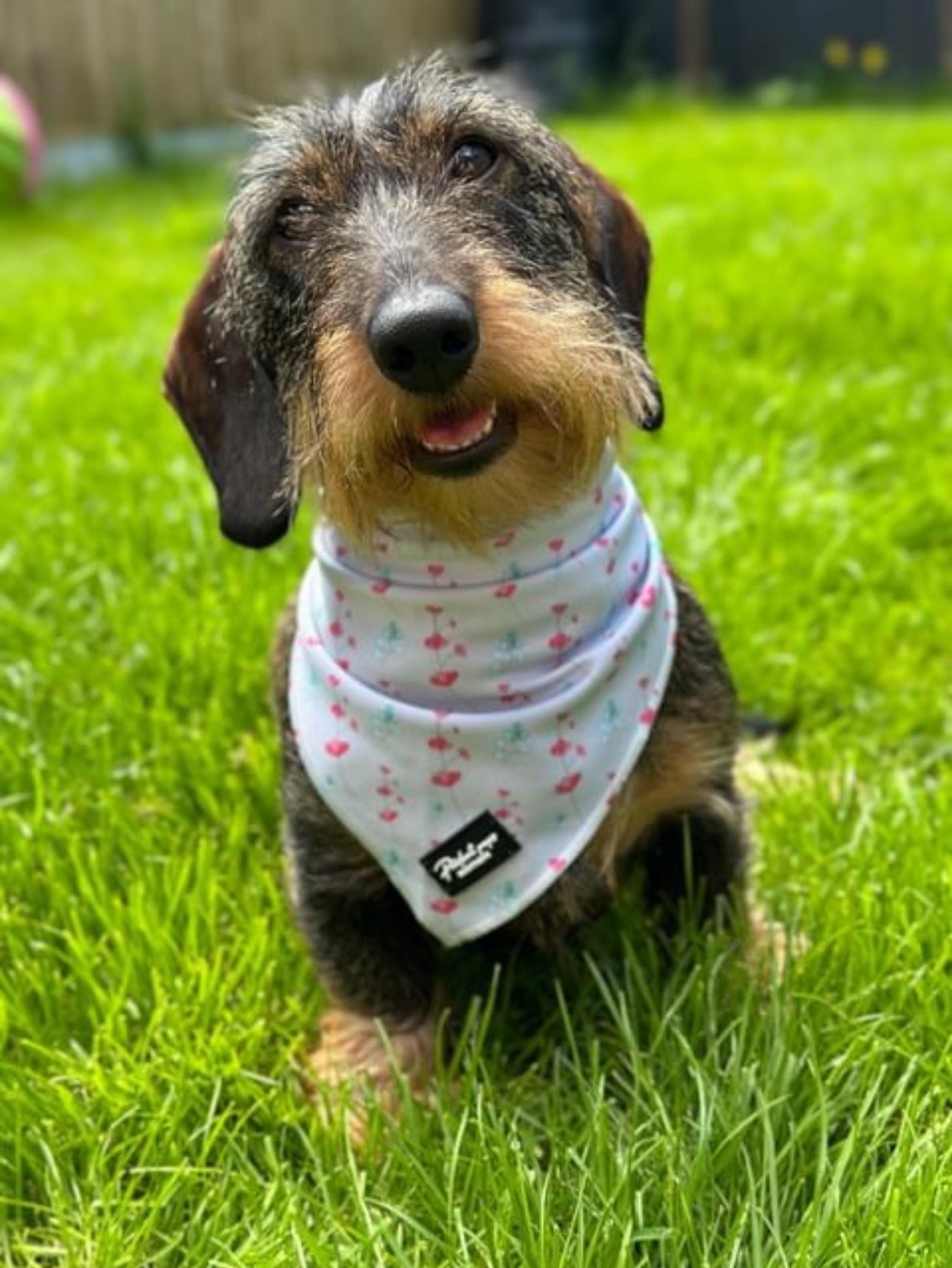 Blossom Bliss Bandana