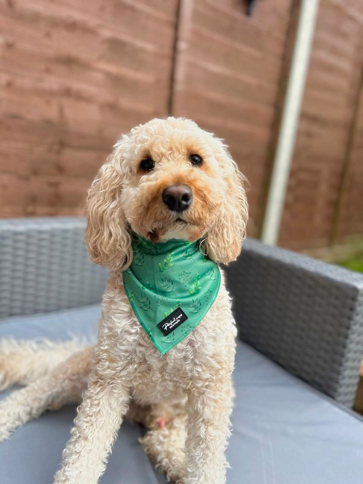 Leafy Luxe Bandana