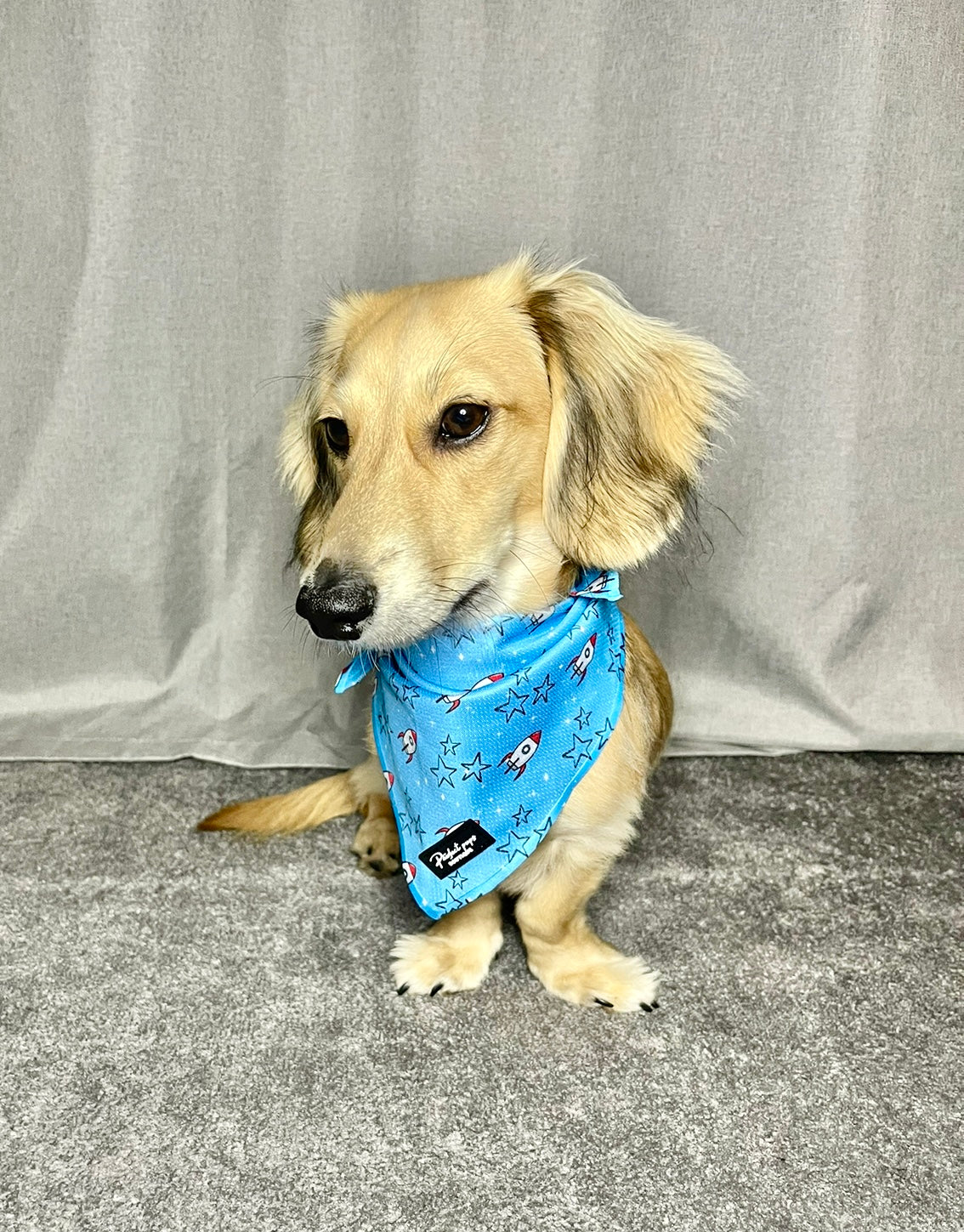 Rocket Racer Bandana