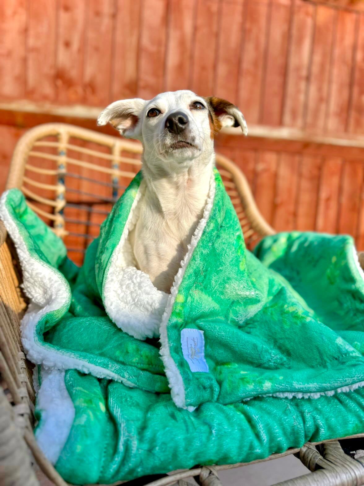 Leafy Luxe Blanket