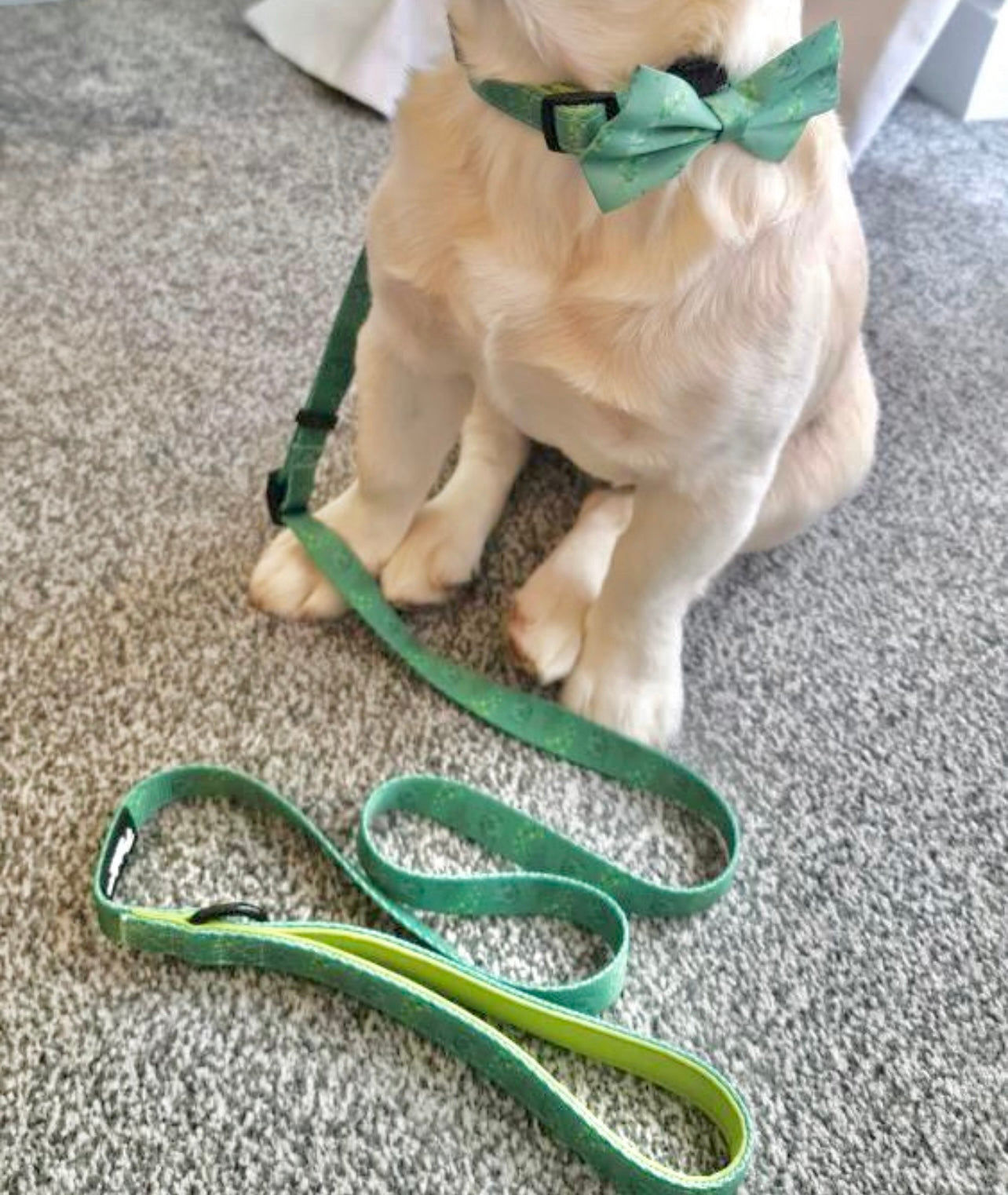 Leafy Luxe Adjustable Lead