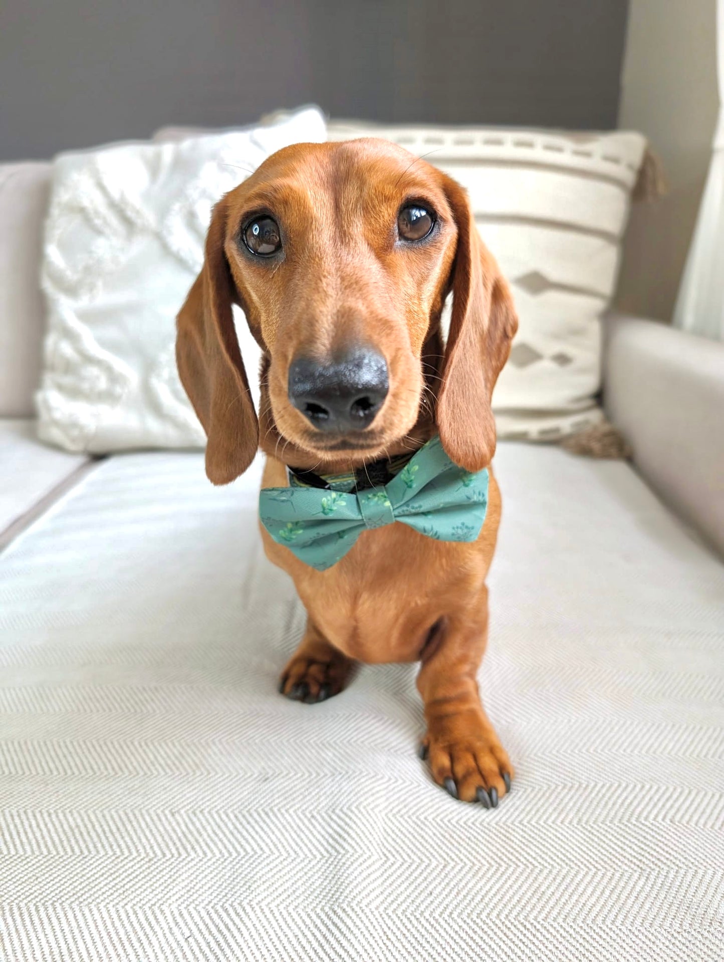 Leafy Luxe Bow